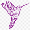 Hummingbird In DXF Format - Free Commercial Use License