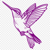 Unique Hummingbird Illustration