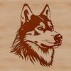 Husky Dog Head Graphic Art SVG A realistic illustration of a Siberian Husky dog's head with detailed features.