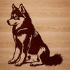 A Siberian Husky breed dog sitting on its haunches.
