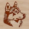 Portrait of a Siberian Husky dog's head with detailed facial features.