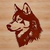 A detailed vector illustration of a Siberian Husky's head with fur textures.