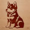 Beautiful Husky Breed Vector Graphic A sitting dog breed illustration featuring a husky with distinctive markings.