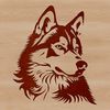 An illustration of a Siberian Husky's head in vector format.