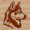 A high-quality illustration of a husky dog's head with detailed features.