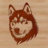 A Siberian Husky's head, rendered as a vector graphic for digital design.