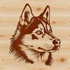 A detailed illustration of a Siberian Husky's head, suitable for vector design projects.