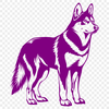 Standing Husky PNG