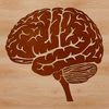 An SVG vector art representation of the structure and layers of the human central nervous system.