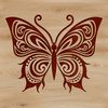 Intricate Insect Illustration A colorful butterfly with intricate details, suitable for use in gardening designs.