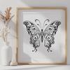 Free Butterfly Digital Art