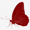 Free Butterfly Vector Image