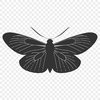 Butterfly In PDF Format - Free Digital Download, Commercial Use