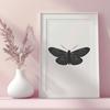 Butterfly In PNG & PDF