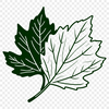 Beautiful Green Leaf Vector Art A single green leaf with detailed veins, suitable for vector design and cutting machine applications.