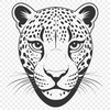 Stylized Jaguar Head Illustration A detailed illustration of a jaguar's head, depicted in a stylized vector format suitable for various digital applications.