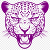 Beautiful Feline Face A detailed illustration of a jaguar's head with distinctive markings and fur texture.