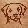 Vector Illustration of a Dog's Head A simple line drawing of a friendly Labrador Retriever's head, suitable for clip art and vector design.