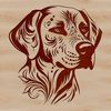 Vector Labrador Retriever Head Illustration Illustration of a Labrador Retriever's head in vector format