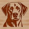 Vector Design Labradors Head SVG A digital illustration of a happy Labrador Retriever's head.