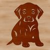 A sitting Labrador Retriever with a calm expression.