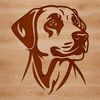 Labrador Portrait Vector Graphic Vector graphic portrait of a Labrador dog, suitable for digital design.