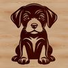 Friendly Labrador Retriever Breed Dog A sitting Labrador Retriever breed dog with distinctive features.