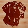 Cute dog vector design for crafters A head-on illustration of a friendly Labrador Retriever breed dog with distinctive features.