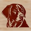 A portrait of a friendly Labrador Retriever's head with a gentle expression.