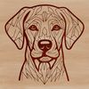 Labrador Retriever Head Illustration Close-up illustration of a Labrador Retriever's head with detailed features.