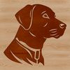 Beautiful Labrador Retriever Dog Breed Illustration An SVG graphic featuring a realistic depiction of a dog breed, specifically a labrador retriever.