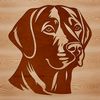 A high-quality digital illustration of a Labrador Retriever's head, suitable for various design projects.