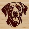 A vector art design featuring the facial details of a friendly dog breed.
