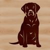 A sitting Labrador Retriever breed of dog as a vector art illustration.