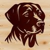 Beautiful Labrador Dog Face Vector Art A high-quality vector image of a labrador retriever's facial profile suitable for various design applications.
