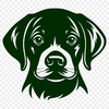 Free Beautiful Labrador Retriever Image