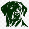 Beautiful Labrador Retriever Vector Illustration