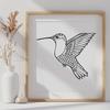 Free Hummingbird Vector Image