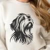 Stunning Havanese In PDF And PNG