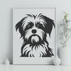 Morkie PDF For Download - Free Commercial Use License