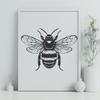 Stunning Bee - Laser Engraver SVG