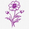 Wild Flower Image In PNG & SVG - Free Digital Download