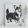 Stunning Welsh Corgi - Animal PNG