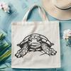 Stunning Sea Turtle - Sea Creature PNG