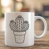 Beautiful Cactus - For Gardening Project