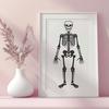 Stunning Standing Skeleton Printable Image - SVG