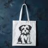 Stunning Sitting Morkie PDF