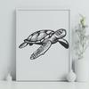 Beautiful Sea Turtle Vector Drawing - Free SVG Download