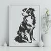 Australian Shepherd PNG For Download - Free Commercial Use License