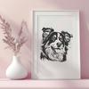 Beautiful Australian Shepherd - For Glowforge Project